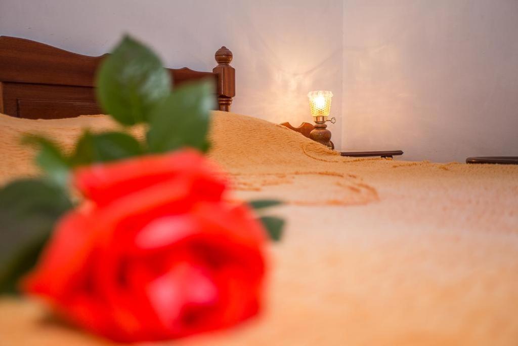 Vila Anita Sumartin Exteriér fotografie